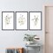 Summer Colorful Floral Wildflower Wall Art Decor, 16x11 Inch Rustic Watercolor Botanical Flower with Wood Frame, Modern Home Living Room Abstract Plant Wall Hanging Set of 3 (Black)